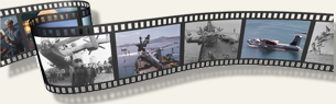 Sally website filmstrip.jpg